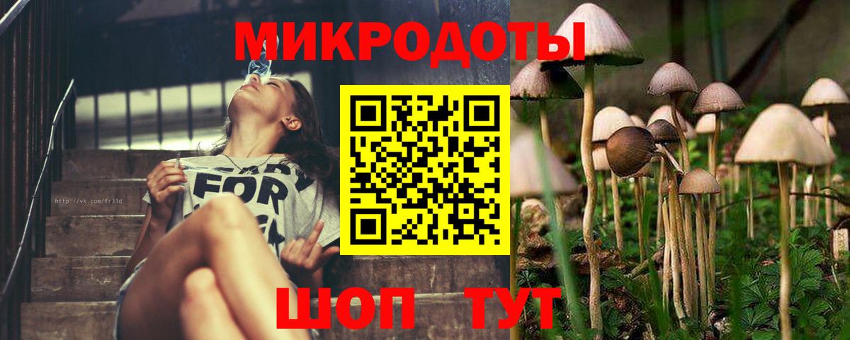 Галлюциногенные грибы Cubensis  Вход с VPN  Тимашёвск  Галлюциногенные грибы GOLDEN TEACHER 